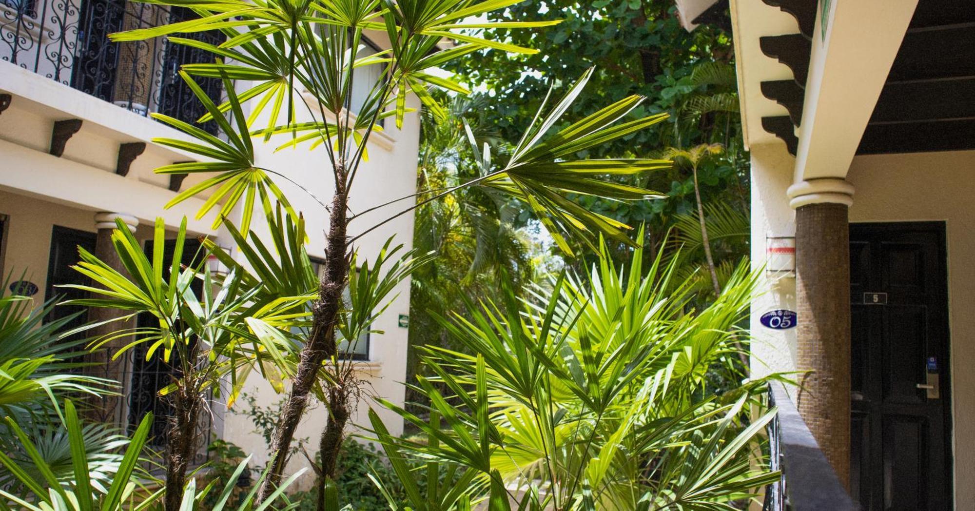 Nina Hotel Playa Del Carmen Exterior foto